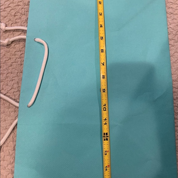 TIFFANY & CO LARGE SHOPPING BAG - Picture 4 of 4